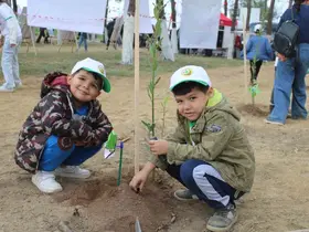 Aydın’da 7 bin fidan toprakla buluştu
