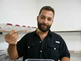Aydın’da 750 akrepten 4 ayda 4 bin yavru elde etti
