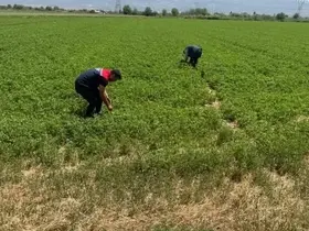 Aydın’da kuraklıkla mücadele çalışmaları sürüyor
