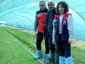 Aydın’da salep orkidesi üretimi büyüyor
