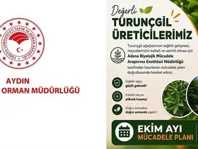 Aydın’da turunçgil bahçeleri için Ekim ayı mücadele planı açıklandı
