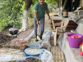 Aydın’da üzümler pekmeze dönüştürülmeye başlandı

