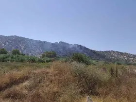 Aydın’daki zirai alan yangını kontrol altına alındı
