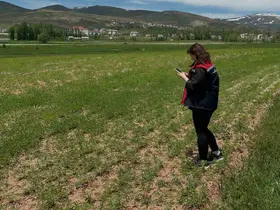 Aydıntepe’de ürün tespit çalışmaları sürüyor
