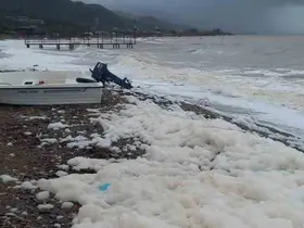 Ayvacık’ta deniz köpürdü
