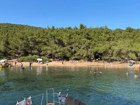 Ayvalık’ta ormanlara giriş yasak ama denetim yetersiz
