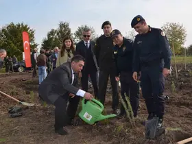 Bafra’da 8 bin fidan toprakla buluştu
