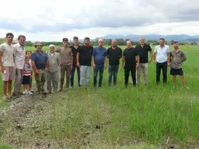 Bafralı çeltik üreticileri: "Ekinlerimiz yanıyor"
