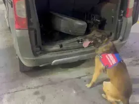 Bagaj ve kaputa gizlenen uyuşturucuyu narkotik köpeği ‘Ayar’ buldu
