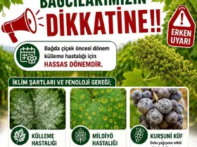 Bağlarda üreticilere ilaçlama uyarısı
