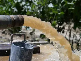 Bağların geleceğini kurtaran sondaj
