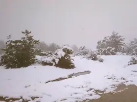 Baharı beklerken kar geldi
