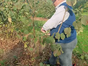 Bahçelerde toprak analizi ve zararlı tespiti
