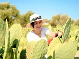Bahçeyi kurarken alay konusu oldular, şimdi 10 ton ürünün tamamını yurt dışına veriyorlar

