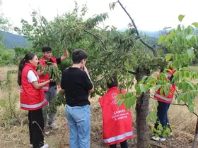 Bakan Göktaş: "COP31 sürecine çocuk hakları perspektifinden katkı sunmalarını destekliyoruz"