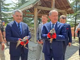 Bakan Yardımcısı Polat, 10 bin keklik kapasiteli tesisi inceledi
