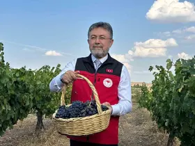 Bakan Yumaklı: "3 milyon 850 bin tonluk bir üzüm üretimi ülkemizde gerçekleşmiş olacak"

