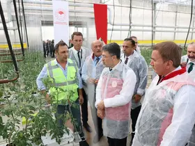 Bakan Yumaklı, Erzincan’daki jeotermal sera alanını inceledi
