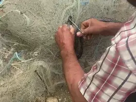 Balık ağında mahsur kılan yılanı elleriyle kurtardı
