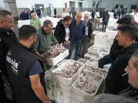 Balık mezadında hareketlilik: Kasalar dolusu balıklar kapışıldı

