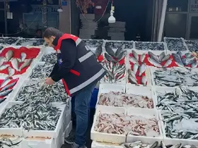 Balık tezgahları denetlendi
