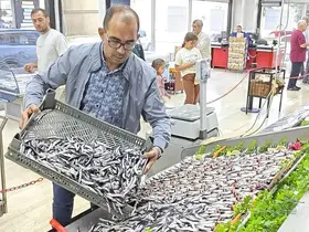 Balık tezgahları şenlendi
