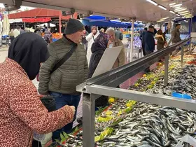 Balık tezgahlarında hamsi yok, vatandaş diğer balıklara yöneldi
