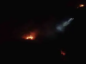 Balıkesir’de gece yarısı orman yangını çıktı
