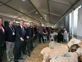 Balıkesir’de "Tarım ve Hayvancılık Fuarı" kapılarını açtı

