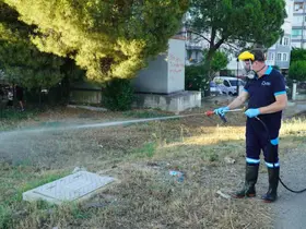 Balıkesir’de vektörle mücadelede tam zamanlı mesai
