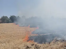 Bandırma’da anız ve çalılık alanda çıkan yangın söndürüldü
