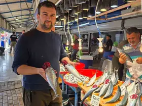 Bandırma’da balık tezgâhlarında palamut bereketi

