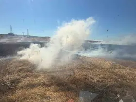 Bandırma’da çıkan anız yangını söndürüldü
