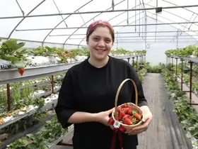 Bankacılığı bırakıp seracılıkla yeni bir hayat kurdu
