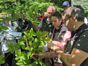 Bartın’da terminatör böceklerin katil arılarla mücadelesi sonuç vermeye başladı
