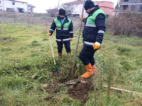 Başiskele’de yeşil alan çalışmaları devam ediyor
