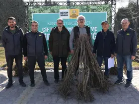 Başkan Altay: "23 bin 500 adet fidanı çiftçimize ulaştıracağız"