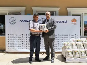Başkan Arslan üretime destek için coğrafi işaretli Çameli fasulyesini çiftçiyle buluşturdu
