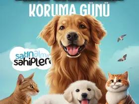 Başkan Büyükkılıç: "İnancımız ve kültürümüzün canlılara karşı öncelediği saygı, en güzel değerlerimizden biri"
