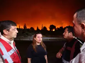 Başkan Vekili Özdemir: "Şehrin tüm sorumlularıyla koordineli şekilde yangınla mücadele ediyoruz"
