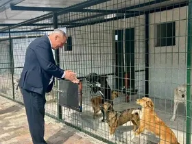 Başkan Yıldırımkaya: "Sultanhisar’da can dostlar emin ellerde"
