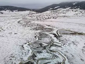Başkent’in Karadeniz’i Benli Yaylası eşsiz doğasıyla ziyaretçilerini bekliyor
