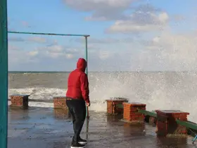Batı Karadeniz’in iç kesimlerinde kuvvetli rüzgar uyarısı
