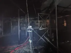 Batman’da at çiftliğinde yangın: 3 at telef oldu
