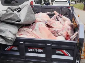 Batman’da kaçak kesilen et ve sakatata el konuldu
