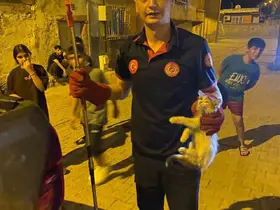 Batman’da pano içinde mahsur kalan kedileri itfaiye ekipleri kurtardı
