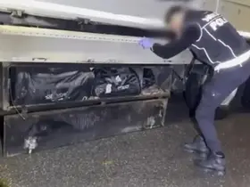 Batman’da ’şehit Alper Albayrak’ operasyonu: 35 kilo skunk, 2 kilo esrar ele geçirildi

