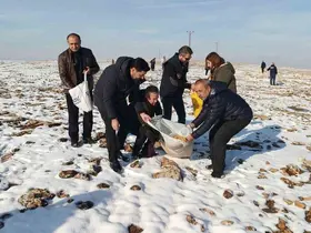 Batman’da yaban hayvanları için doğaya yem bırakıldı
