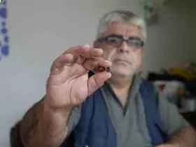 Bayburtlu kehribar ustası işlediği taşta milyonlarca yıllık böcek fosili buldu
