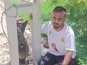 Belçika kurdunu zehirleyip direğe asarak telef ettiler
